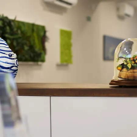 فندق سوليلونا